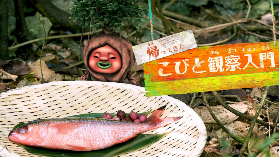 【DIRECTIONS】『帰ってきた こびと観察入門 キニナジムナー編』を制作しました